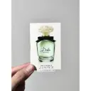 Dolce & Gabbana Dolce EDP Sample Perfume - 1.5ml